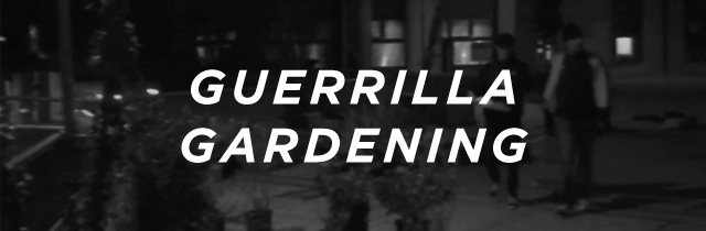 Guerrilla Gardening